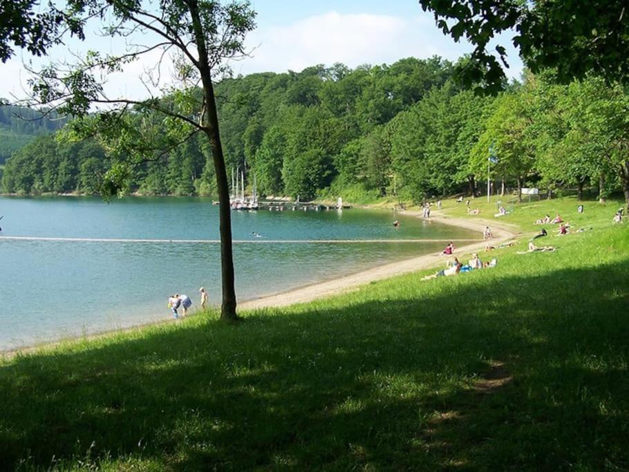 Ferienhaus Lena Im Sauerland Direkt Am Hennesee Meschede Exterior photo